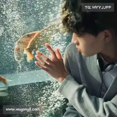云曦影